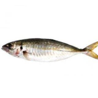 Txitxarrito Bote (Aprox. 1 Kg.)