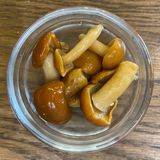 Гриби опеньки