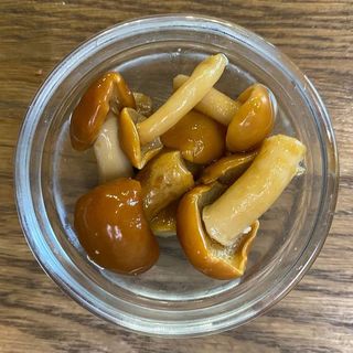 Гриби опеньки