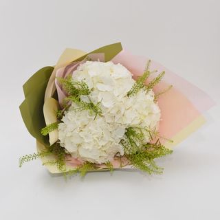 Buchet 3 hortensii mix