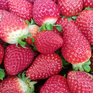Fresas del Pais