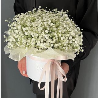 Композиція «Гіпсофіл (5)»