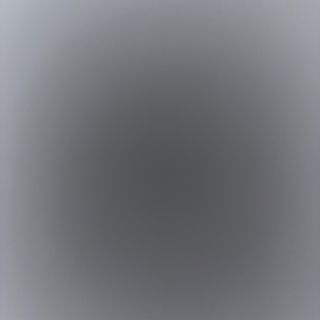 bambú y setas chinas salteadas