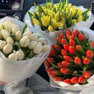 Buchet lalele simplu