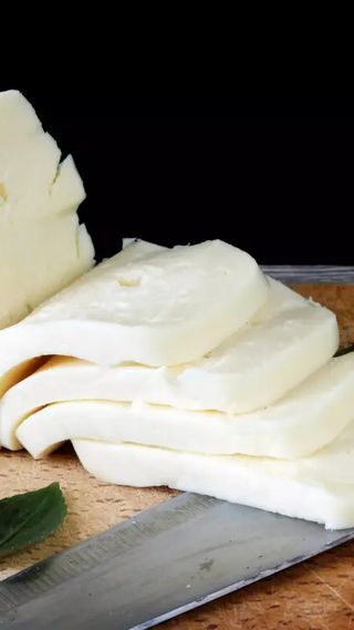 სულგუნი