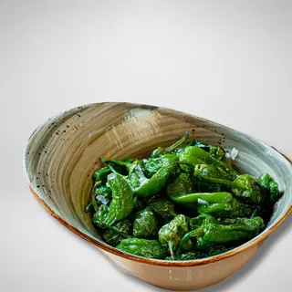 Pimiento Padrón