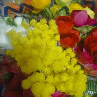 Mazzo di raruncoli(sanremo)