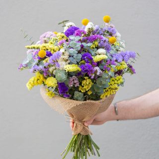 Ramo de siemprevivas multicolor