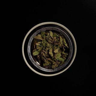 Infusión Menta Fresca