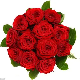 12 Roses rouges amour 