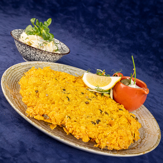 SNITEL DIN FILE DE ȘALĂU