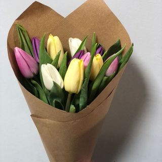 10 ფერადი ტიტა / 10 Colorful tulips 
