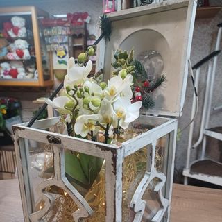 lanterna con orchidea