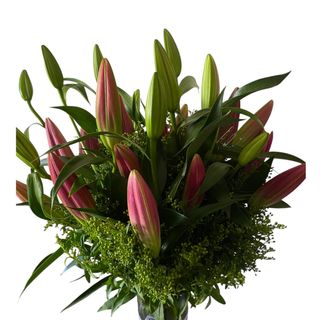 Classic Lily + Gypsophila