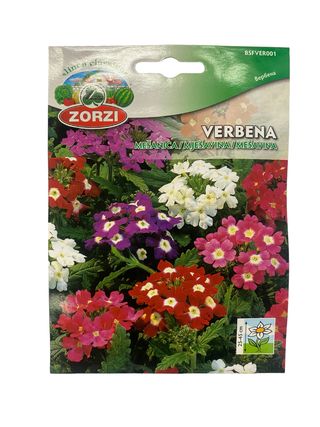 Sjeme cvijeća Verbena