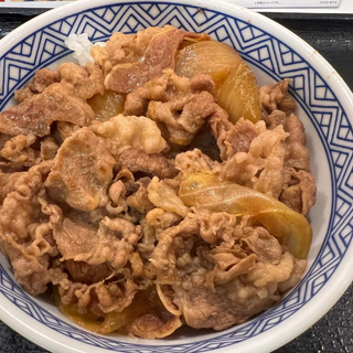 55 -Gyudon