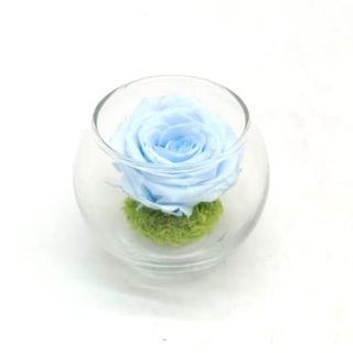 Mini Reflet Baby Blue R