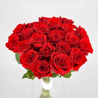 21 Róż czerwonych z rafią