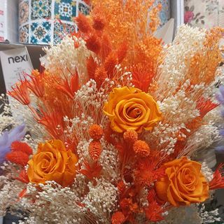 Fiori secchi rose arancione e sterilizzata bellissimo