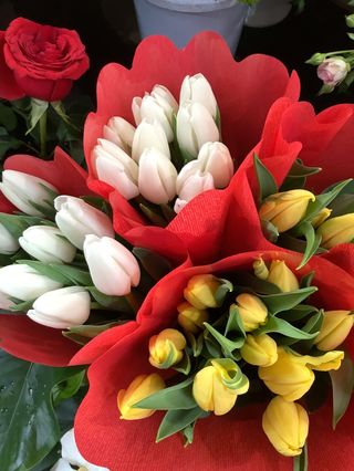 Mazzo tulipani - 10 pezzi  confezionato con foglie di  felce e solidato