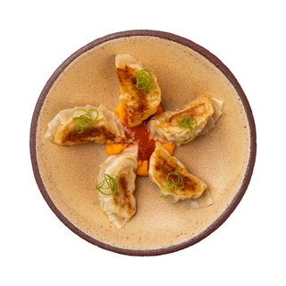 Chicken and shrimp gyoza