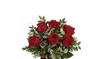 6 rose rosse ben confezionate 