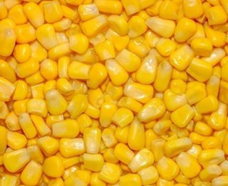 Кукурудза цукрова (25г)