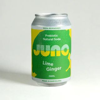 Soda Lime and Ginger (330 Ml.)