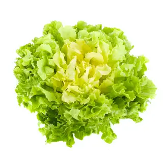 SCAROLA