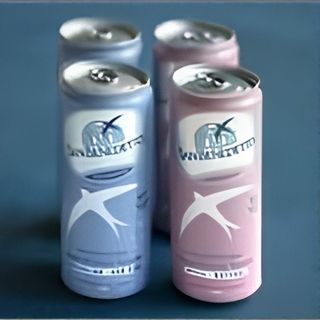 Acqua naturale San Benedetto 33 cl