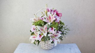 Korpa orijental, fenelopsis i ruža