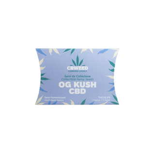 OG Kush CBD - 1 semente