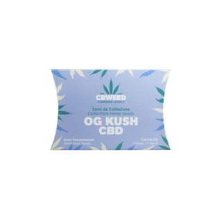OG Kush CBD - 1 semente
