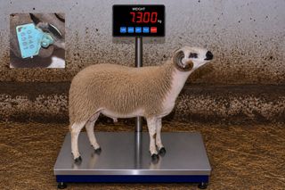 04466561 - 73 Kg