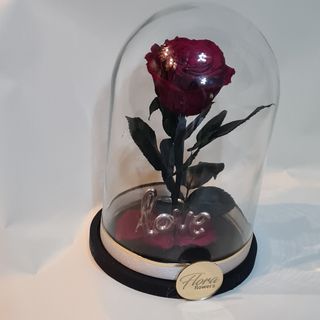 Vjecna ruza u staklenom zvonu ...crvena  - love