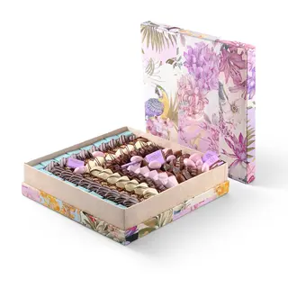 Boite Perroquet Gm