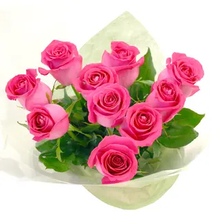 10 rose rose extra
