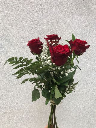 4 Rosas Rojas