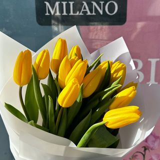 Букет з 15-ти жовтих тюльпанів