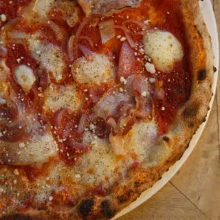 AMATRICIANA