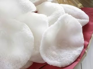 Hóstias de Camarão