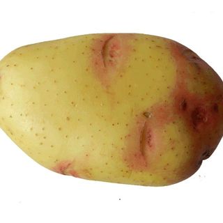 Papa King Edward Oro (Bolsa de 5 Kg)