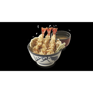 Ten Don-Prawn