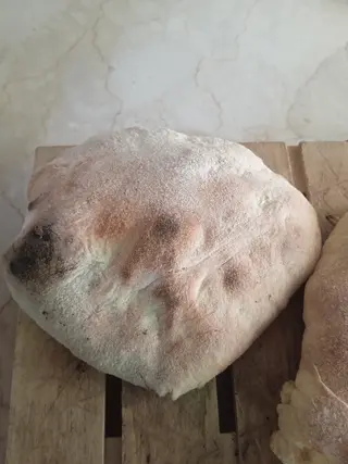 Pane