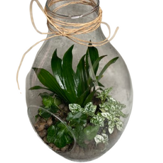 Kompozycja w szkle  S