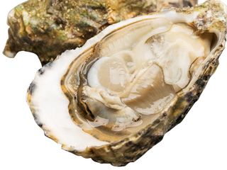 Фін де Клер №3  (Франція)