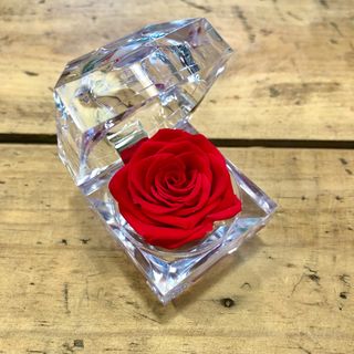 Caja pequeña de rosa preservada de color rojo