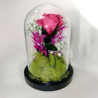 Cupula con Rosa Preservada