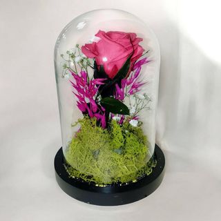 Cupula con Rosa Preservada