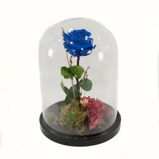 Rosa Azul Eterna
